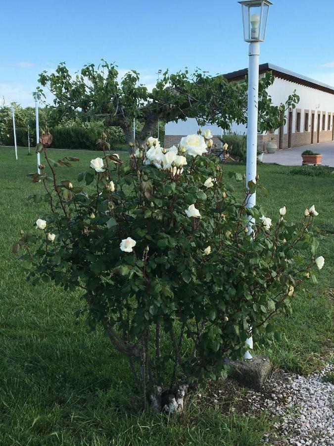 La Massaria Agriresort Bauernhof