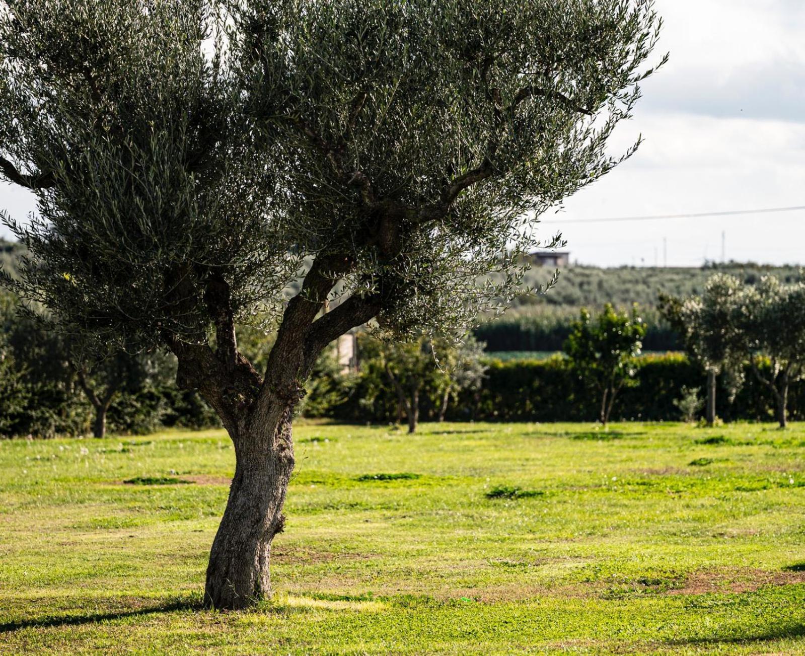 La Massarìa Agriresort * Orta Nova